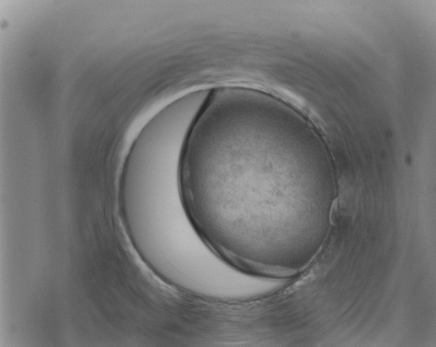 X0000074341520200609011615