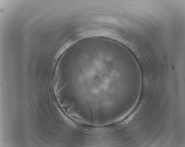 X0000074341521200609011615