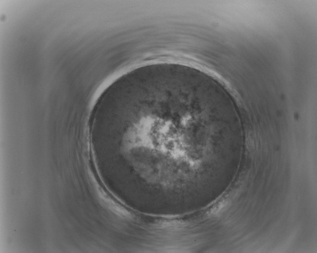 X0000074341522200609011615