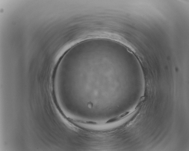 X0000074341523200609011615