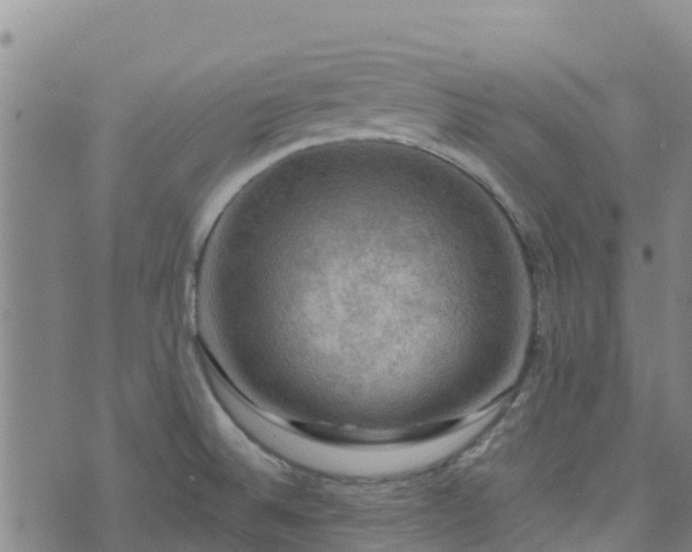 X0000074341524200609011615