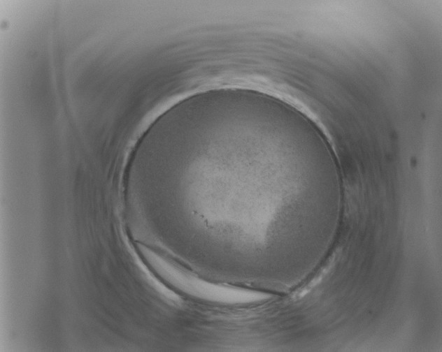 X0000074341525200609011615