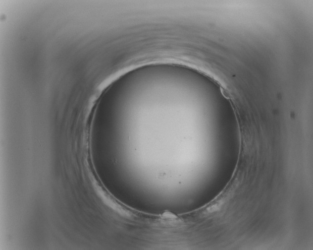 X0000074341526200609011615