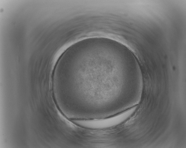 X0000074341527200609011615