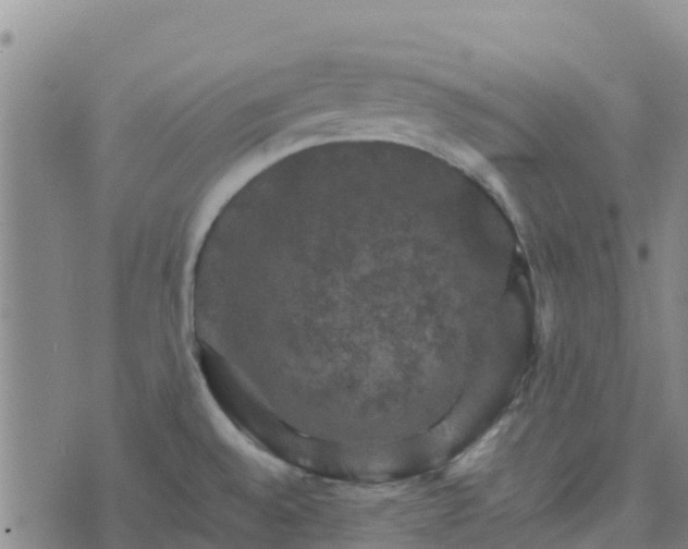 X0000074341528200609011615