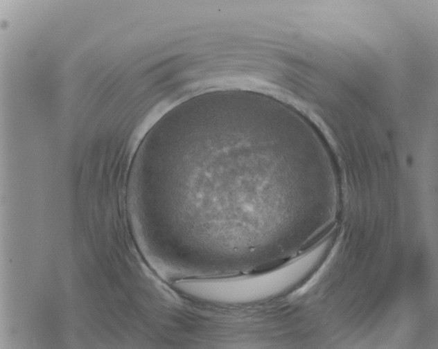 X0000074341529200609011615