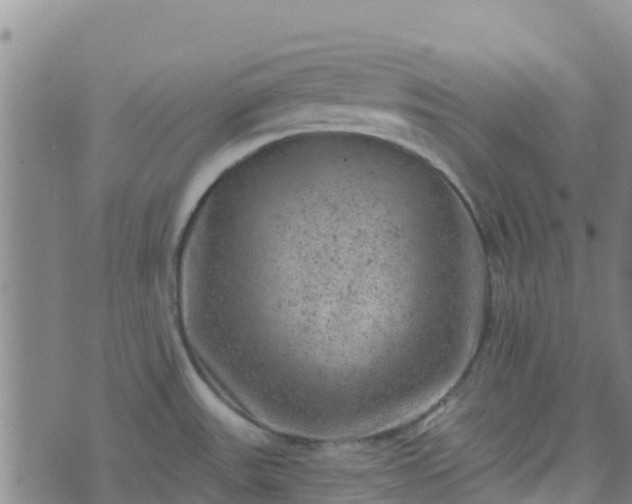 X0000074341531200609011615