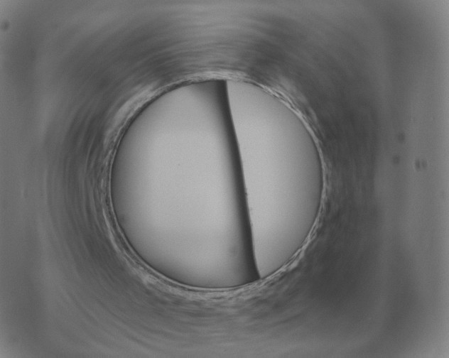 X0000074340001200609082109