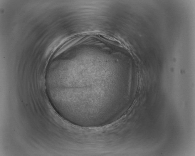 X0000074340002200609082109