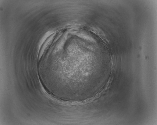 X0000074340003200609082109