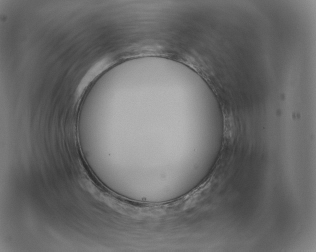 X0000074340004200609082109