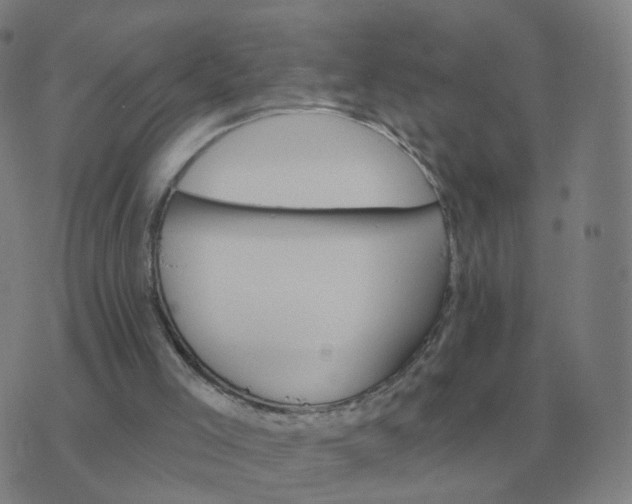 X0000074340005200609082109