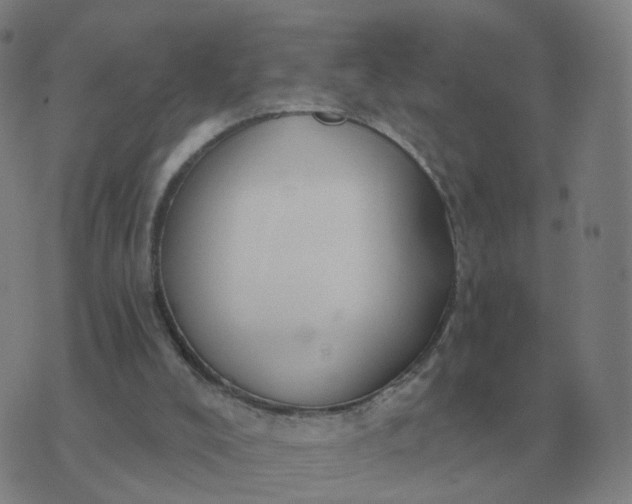 X0000074340008200609082109