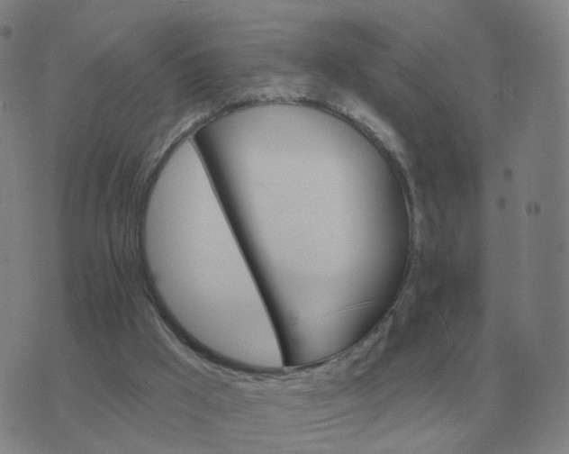 X0000074340009200609082109