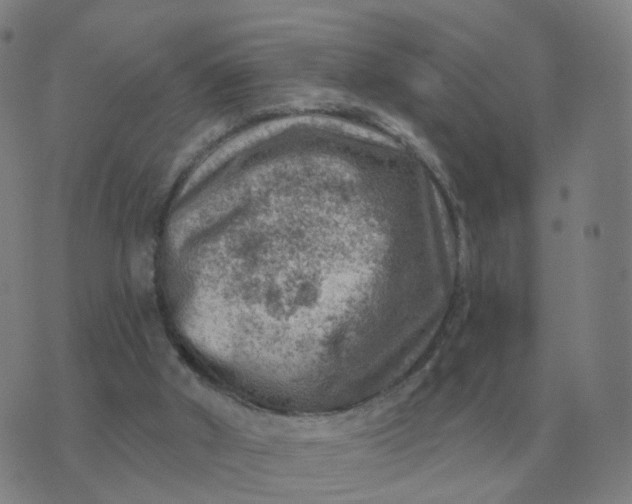 X0000074340010200609082109