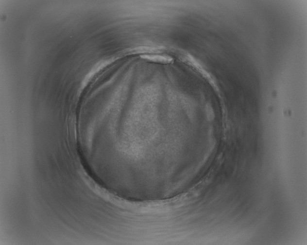 X0000074340011200609082109