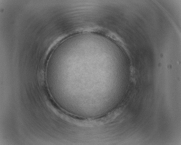 X0000074340012200609082109