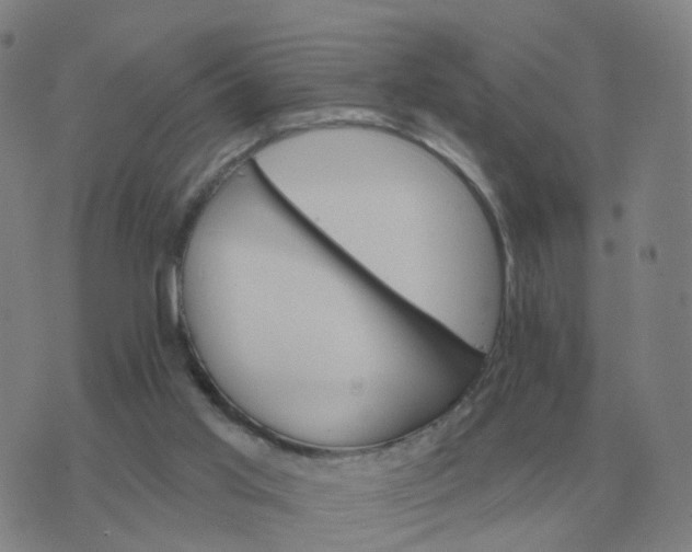 X0000074340013200609082109