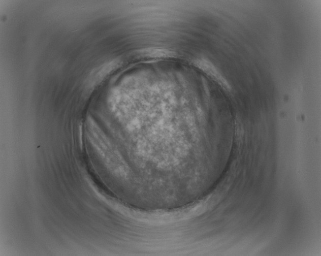 X0000074340014200609082109