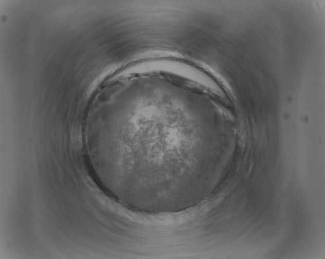 X0000074340015200609082108