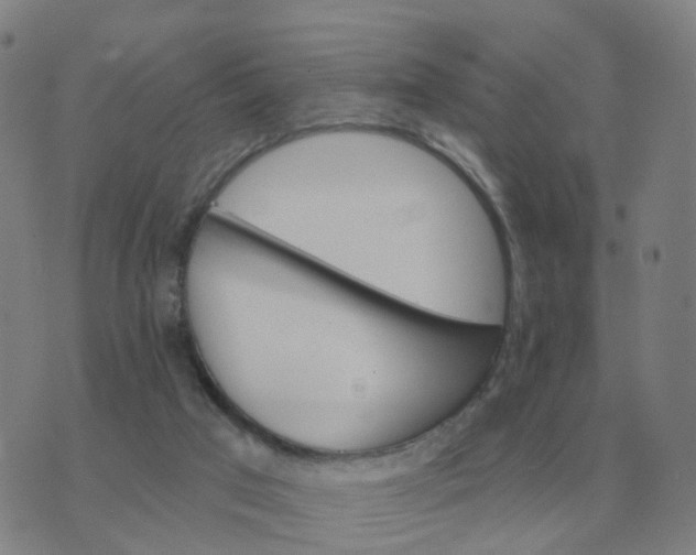 X0000074340017200609082108