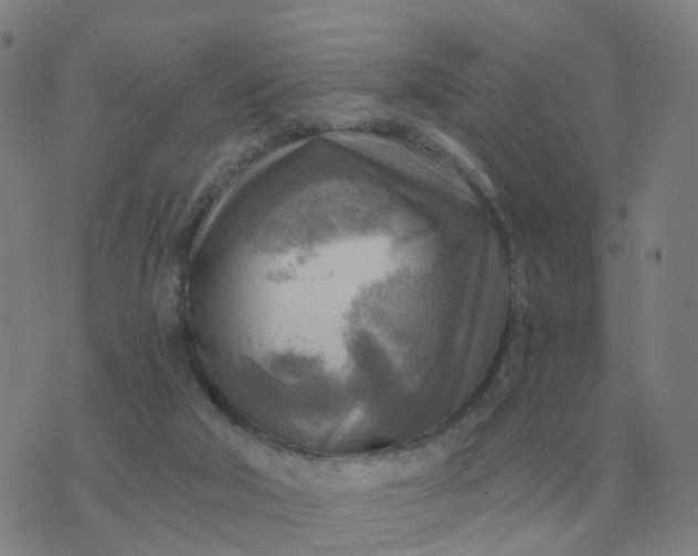 X0000074340018200609082108