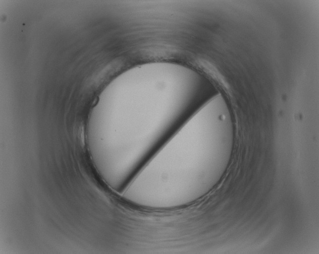 X0000074340021200609082108