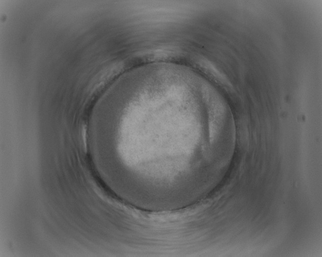 X0000074340022200609082108