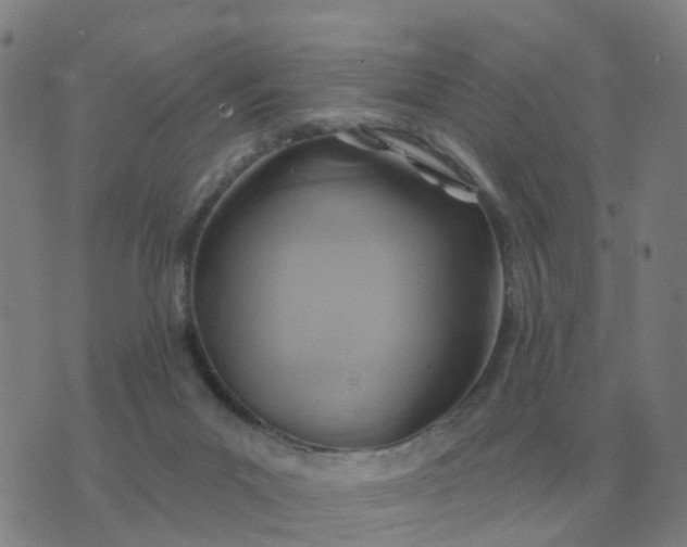 X0000074340023200609082108