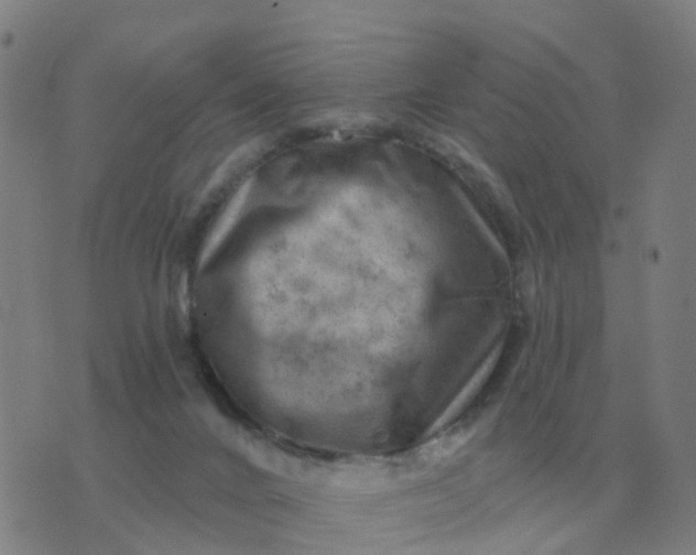 X0000074340024200609082108