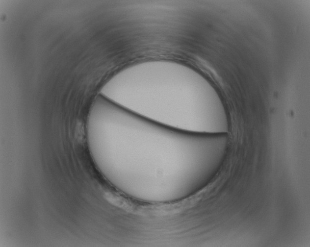 X0000074340025200609082108