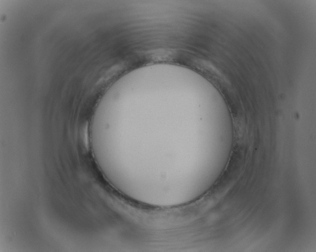 X0000074340028200609082108