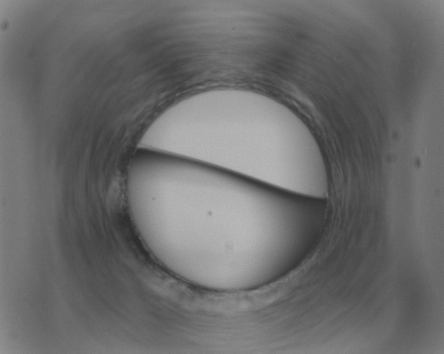 X0000074340029200609082108