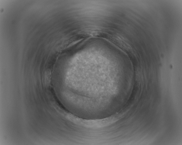 X0000074340030200609082108