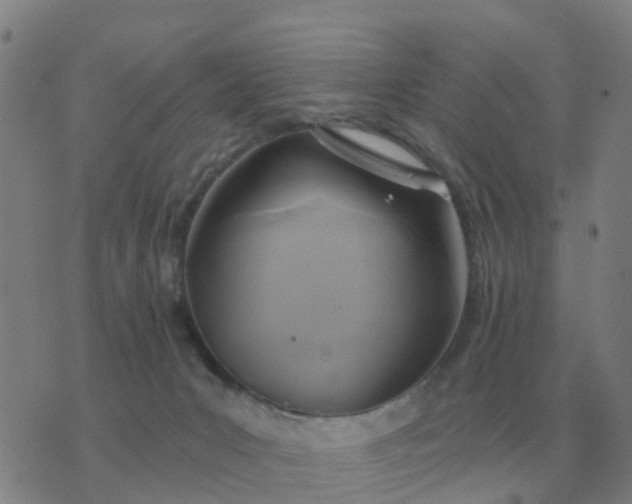 X0000074340031200609082108