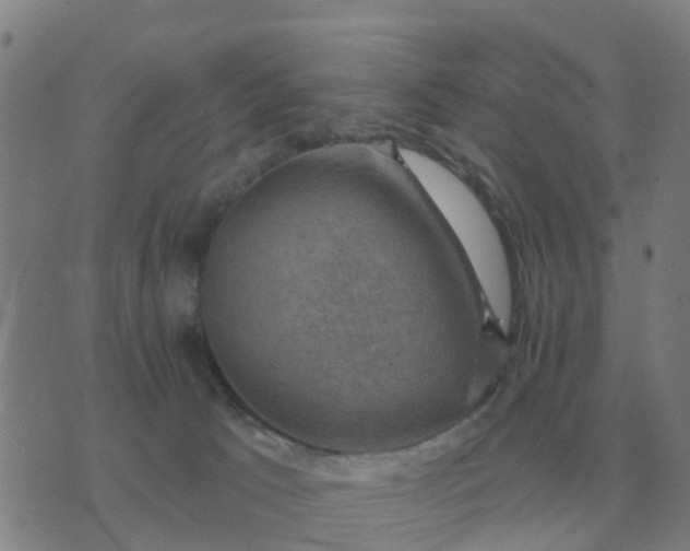 X0000074340033200609082108