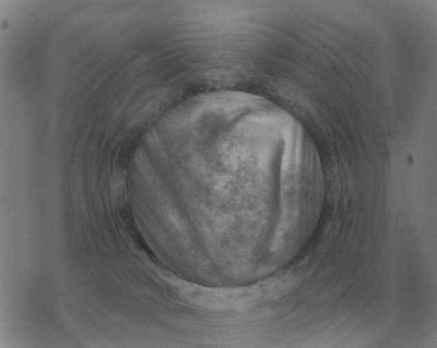 X0000074340034200609082108