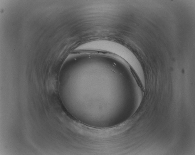 X0000074340035200609082108