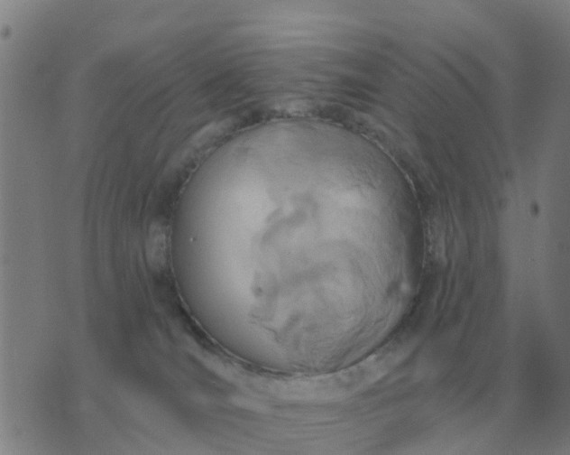 X0000074340036200609082108