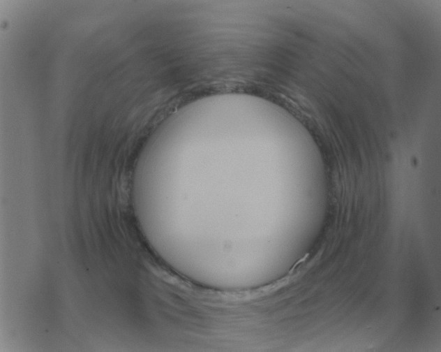 X0000074340037200609082108