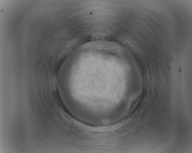 X0000074340038200609082108