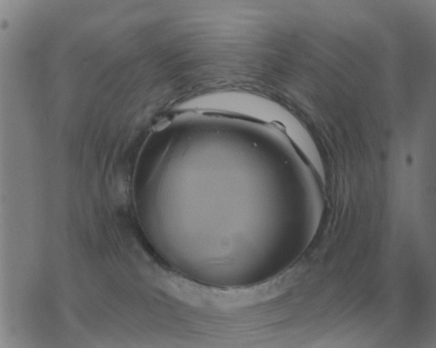 X0000074340039200609082108