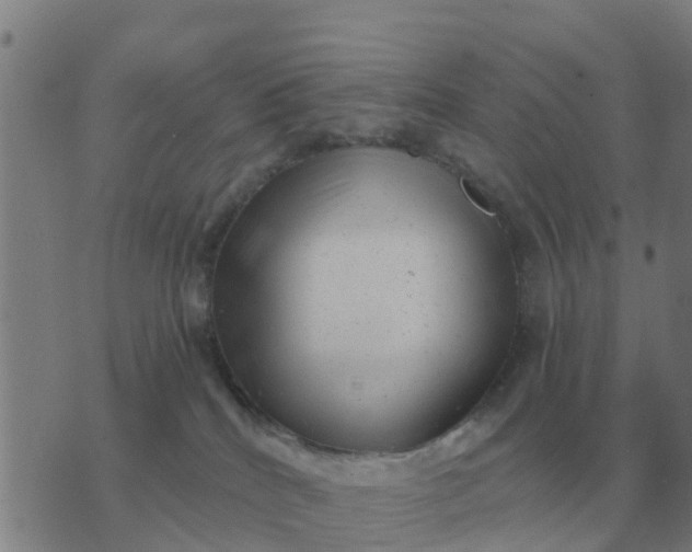 X0000074340040200609082108