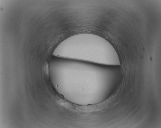 X0000074340041200609082108