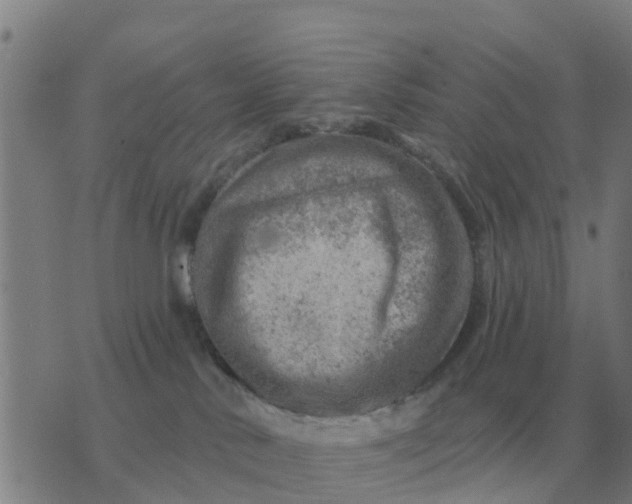 X0000074340042200609082108