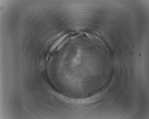 X0000074340043200609082108