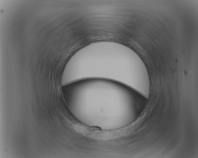 X0000074340045200609082108