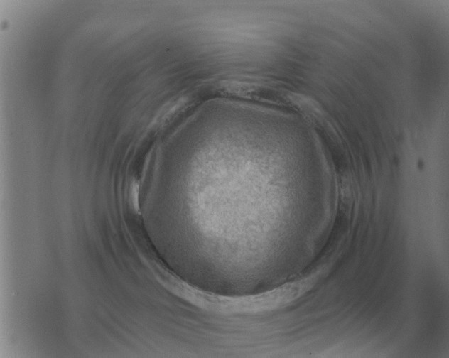 X0000074340046200609082108