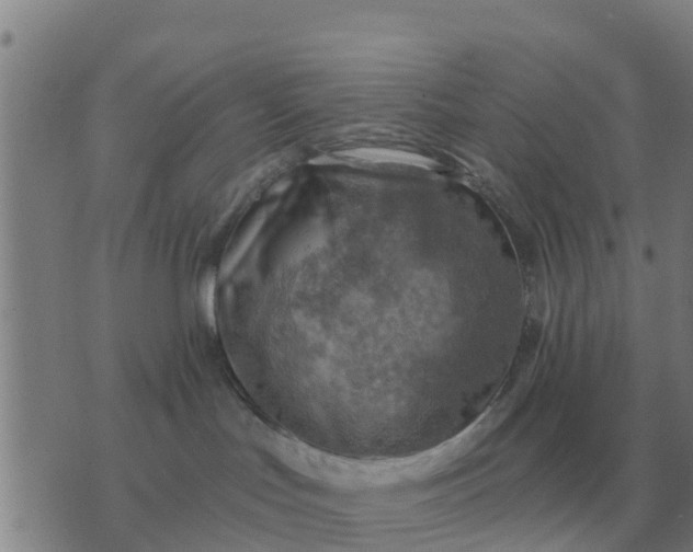 X0000074340047200609082108