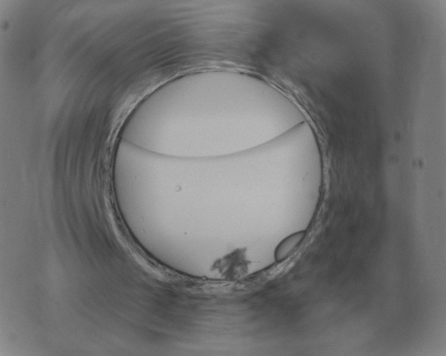 X0000074340049200609082107